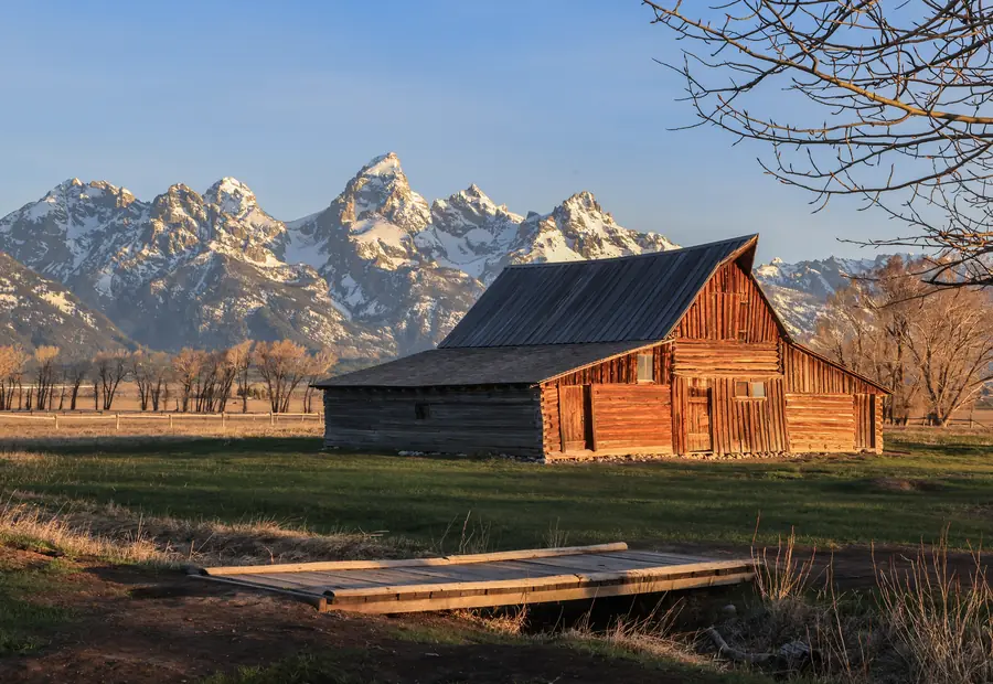 Ranch buildings and cottonwood bottoms below the mountain front