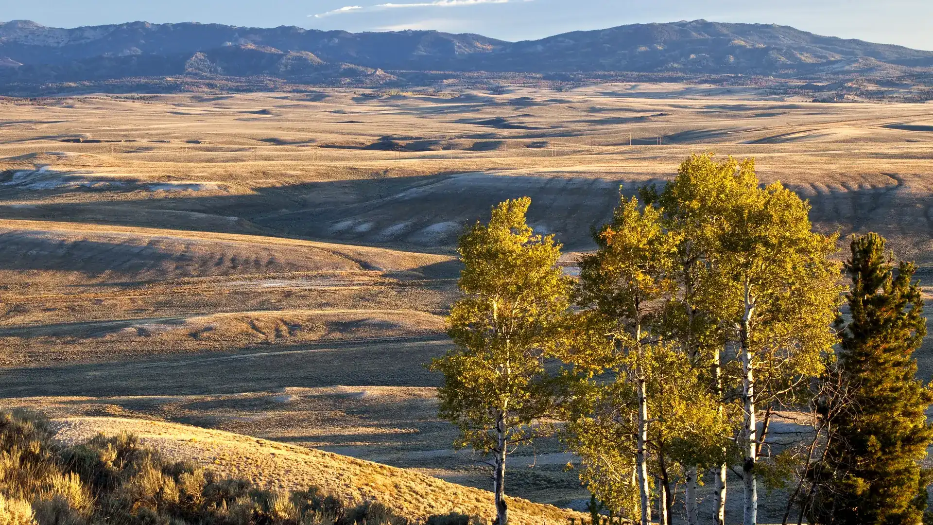 Golden valley and aspen stands opening below the mountain front